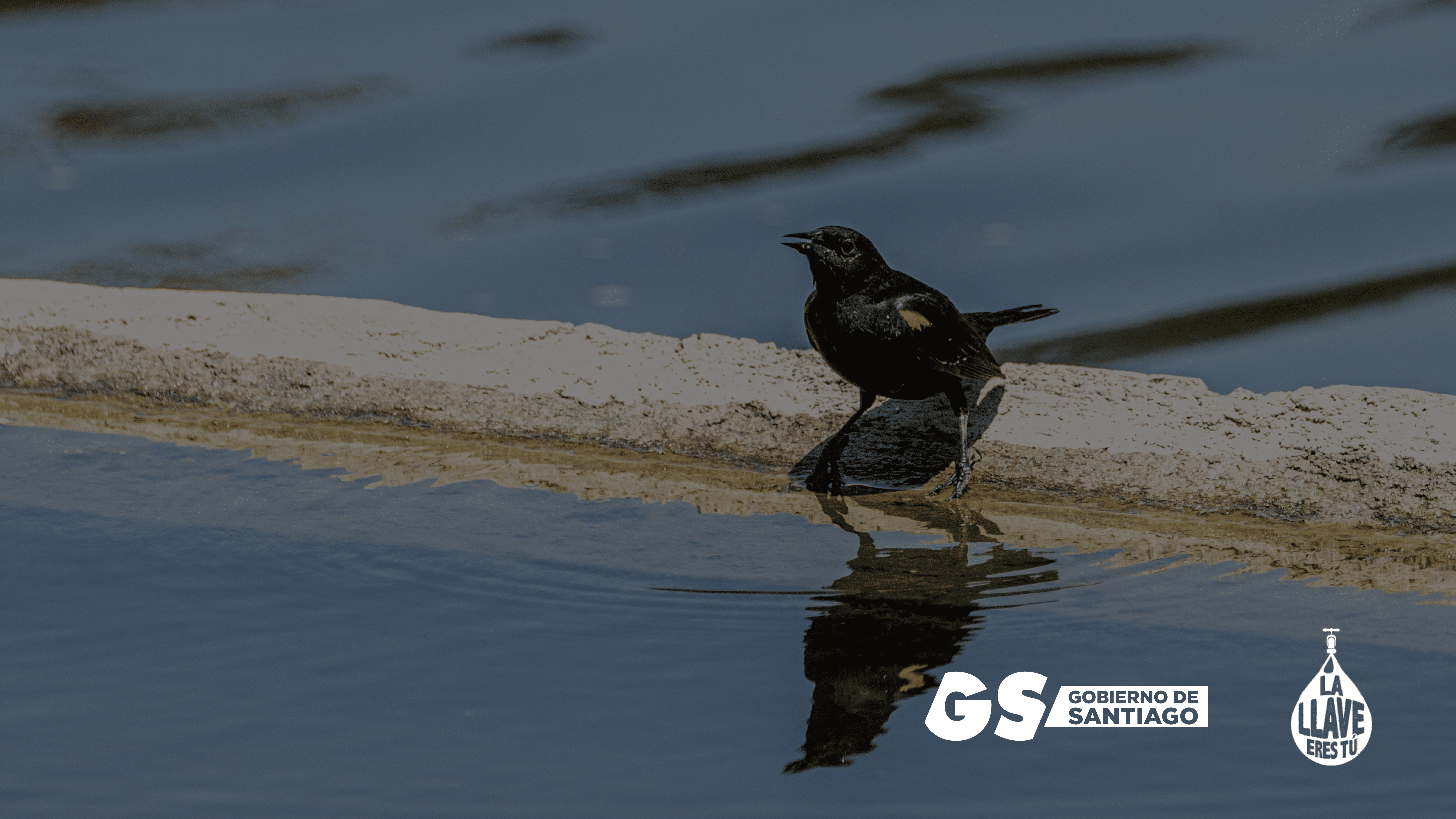 ESTRATEGIA HÍDRICA LOCAL