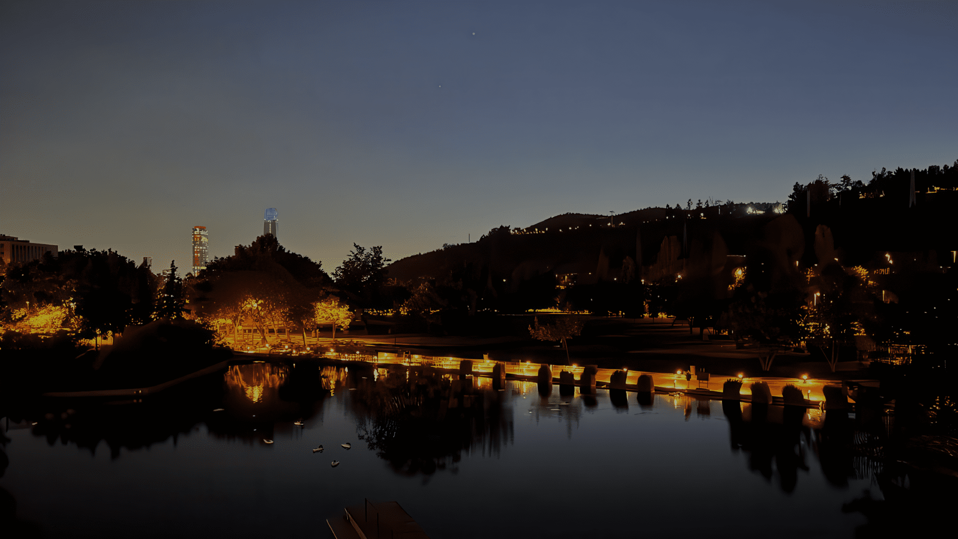 NUEVAS LUMINARIAS PARQUE BICENTENARIO