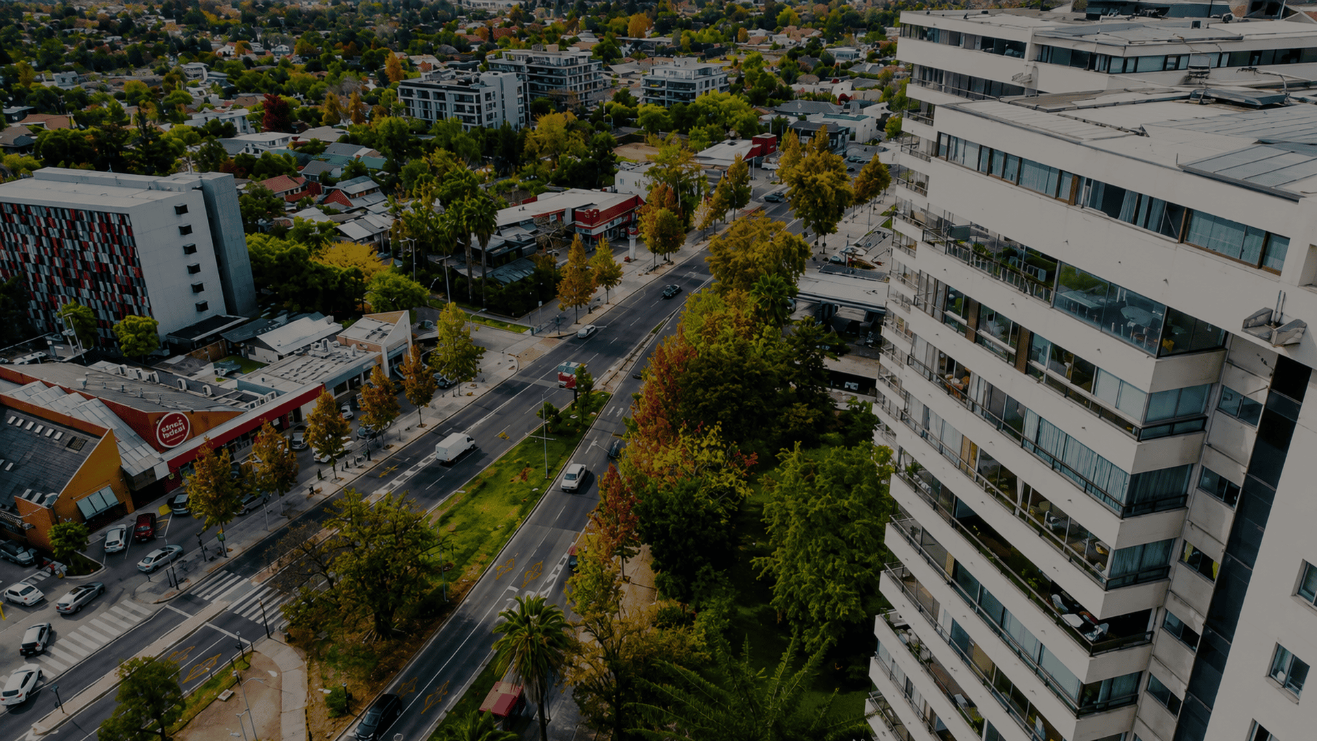 Plan de Revitalización de Av. Vitacura
